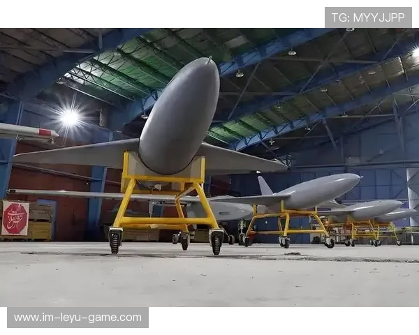 伊朗队在巴黎奥运会比赛中多次通过团队配合得分，伊朗篮球队奥运会