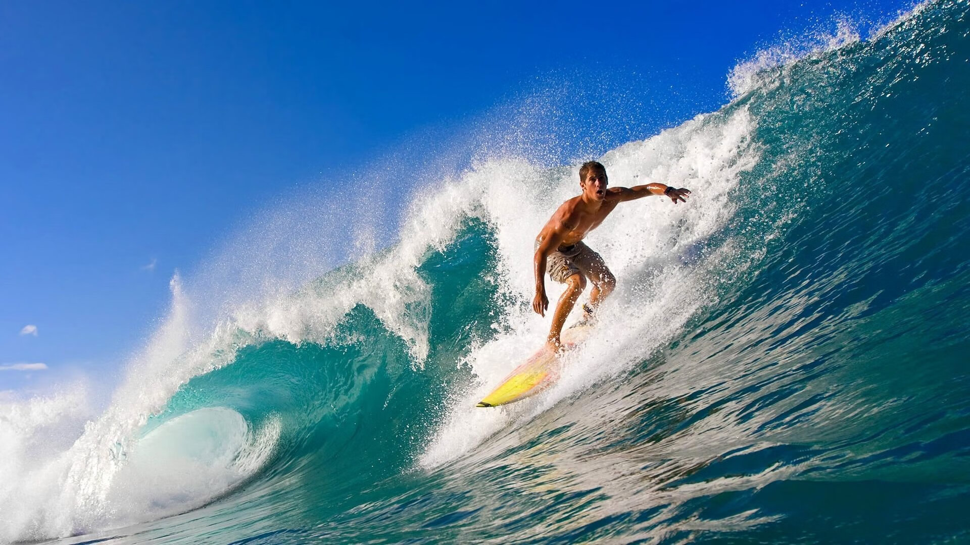 澳洲队决赛表现超出预期，赢得掌声，澳洲队决赛表现超出预期,赢得掌声是什么